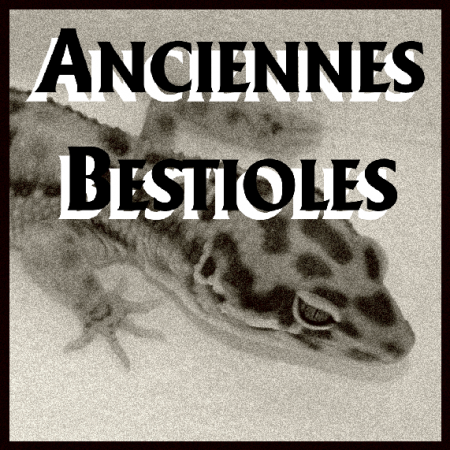 Anciennes Bestioles TomaGecko